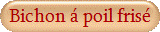 Bichon � poil fris�