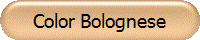 Color Bolognese